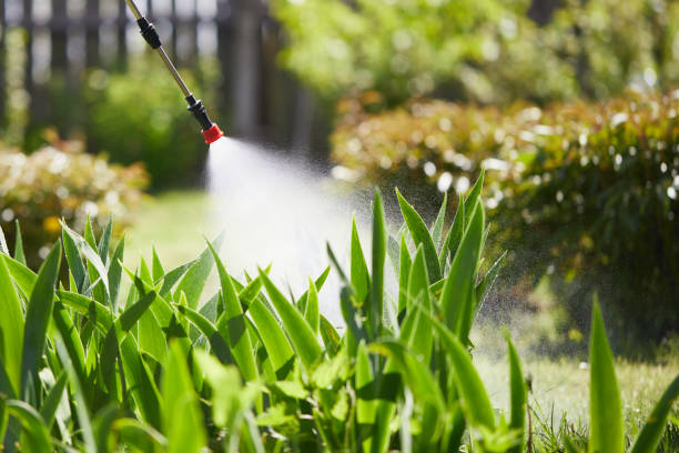 24/7 Emergency Wasp Removal experts in Neenah, WI