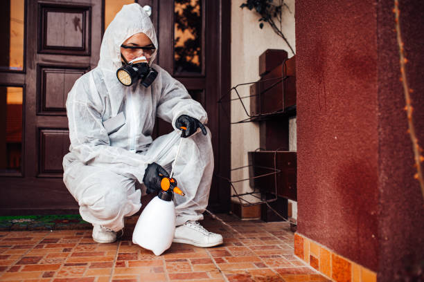 Reliable Wasp Removal contractor in Neenah, WI by Show Me Pest Control