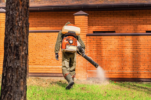 Top rated local Wasp Removal specialists in Neenah, WI